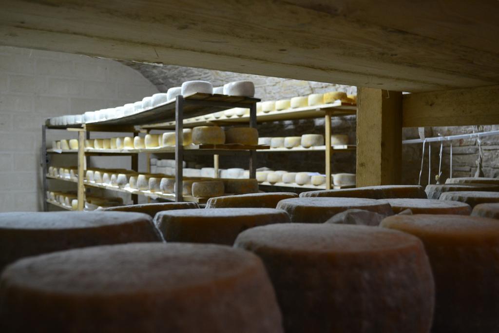 Willa Masseria Revinaldi Castel Del Monte  Zewnętrze zdjęcie